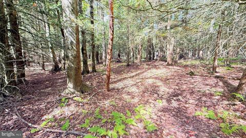 Vacant Land For Sale - 212 Aquaris Ln<br/> Wayne County, LAKE ARIEL, PA 18436