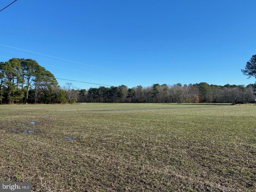 ATTENTION BUILDERS & DEVELOPERS...Heritage Pointe is a (7) lot subdivision in Crisfield with design and plan completed and approved.    Beautiful 16.9 acre tract of land that is already cleared.  So much of the work has already been done for this investment.  Building lots range from 1.3 to 2 acres.  About 2.7 acres set aside in the plan for stormwater management and forest conservation.  The plan also includes the design for Legacy Lane, the access road for the development from Farm Market Road. The full plan is actually (8) lots, but Lot 3 has been sold separately as 4179 Lawson Barnes Road.  This is a great opportunity for your next project!