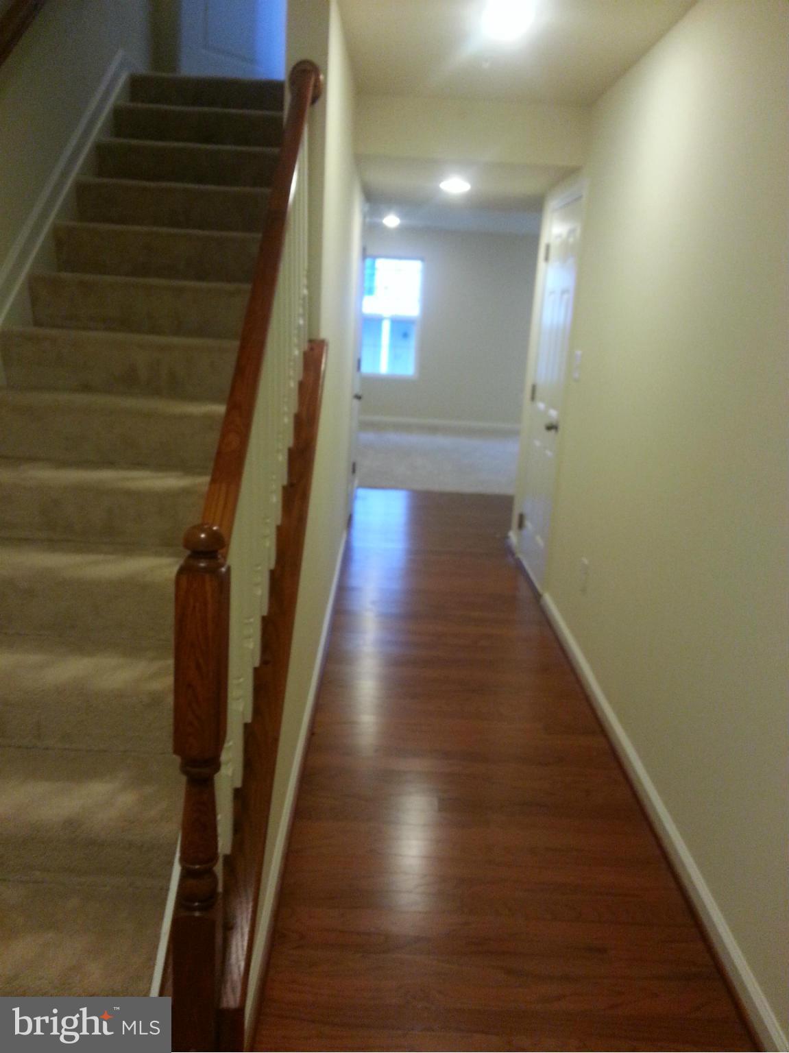 BLUE STREAM - Residential