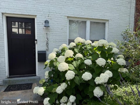 Photo of 1383 Adams Street NE, WASHINGTON, DC 20018 (MLS # DCDC2283856)