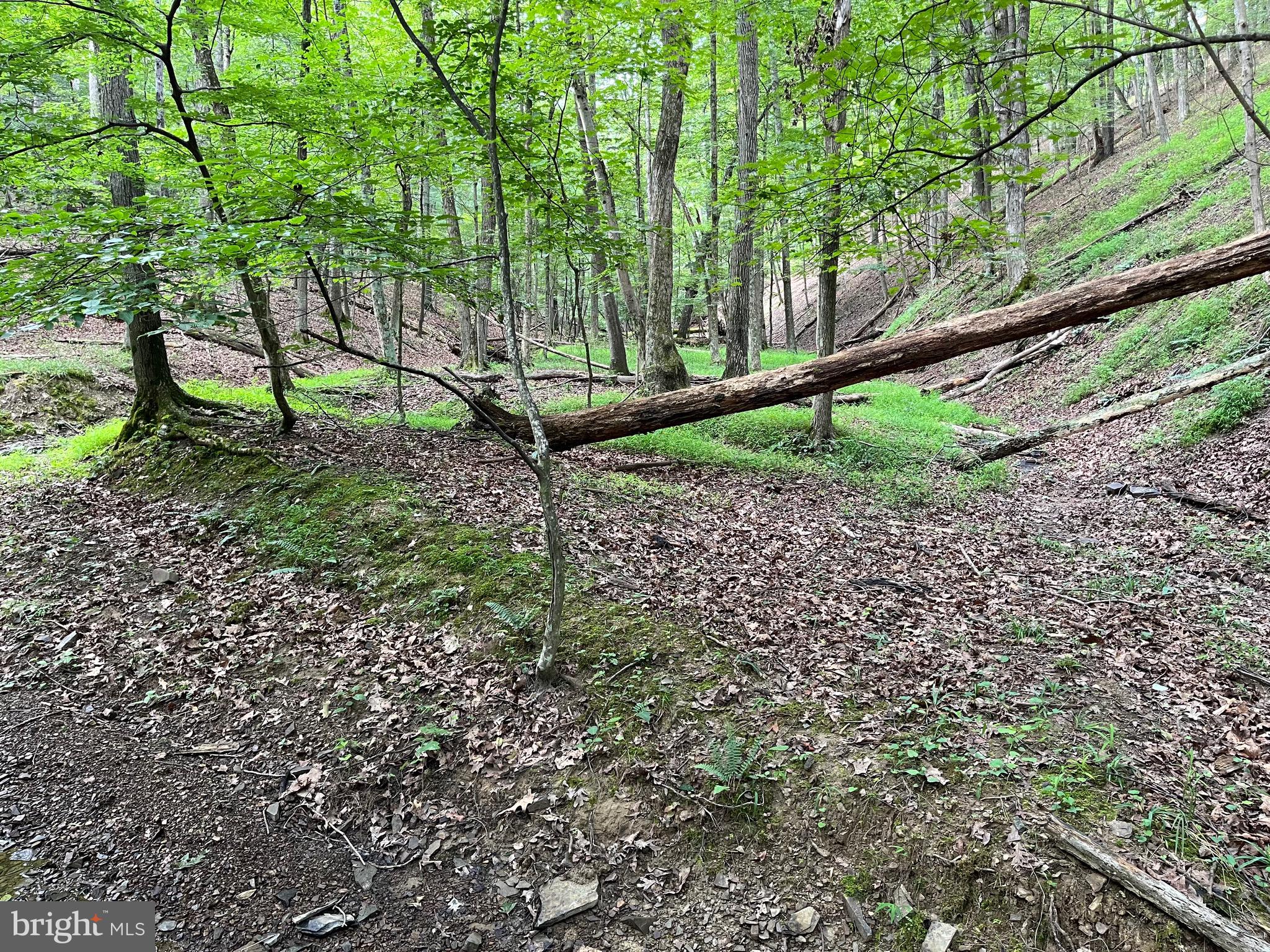 FAIRVIEW OAKS - Land