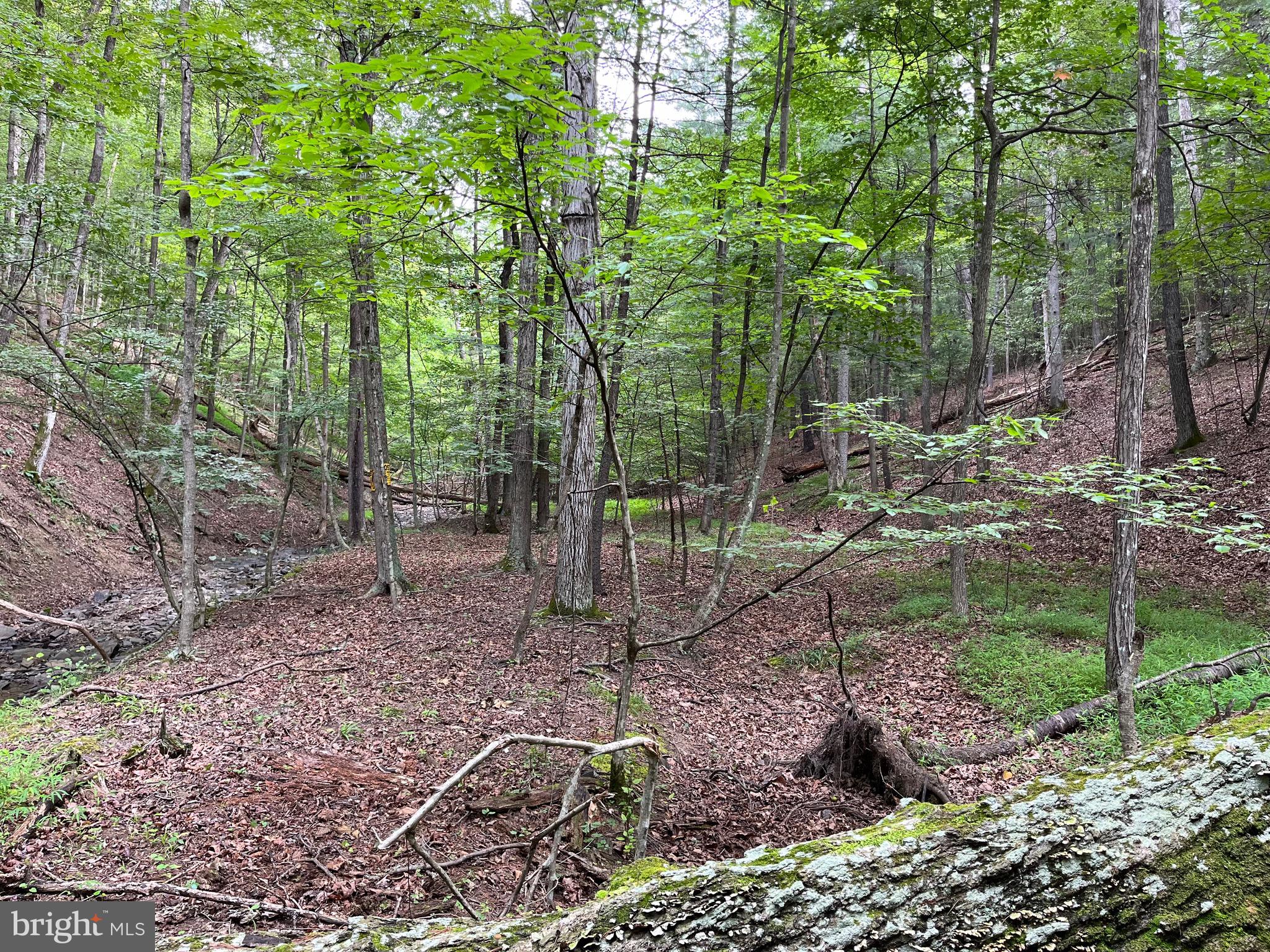 FAIRVIEW OAKS - Land