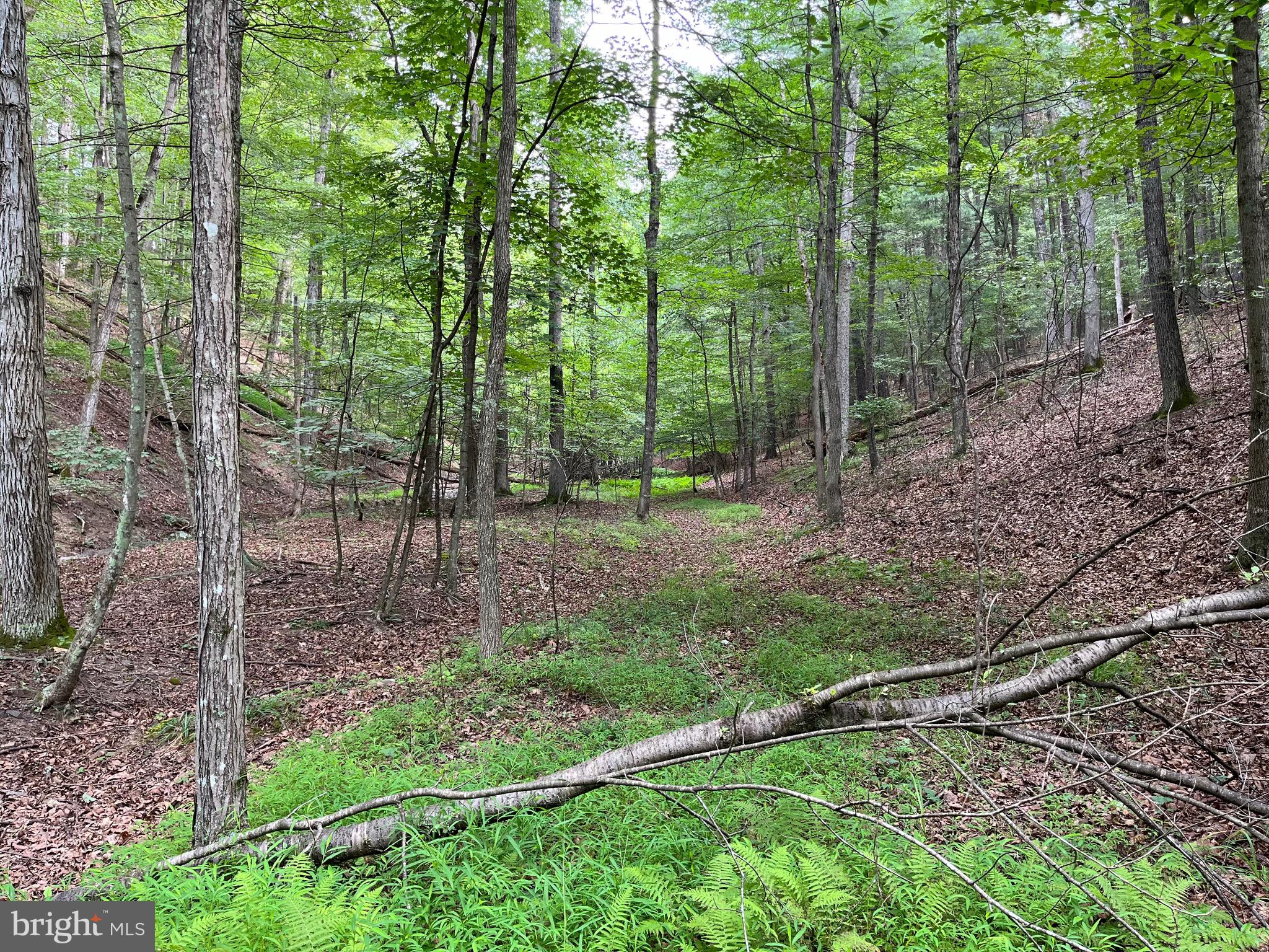 FAIRVIEW OAKS - Land