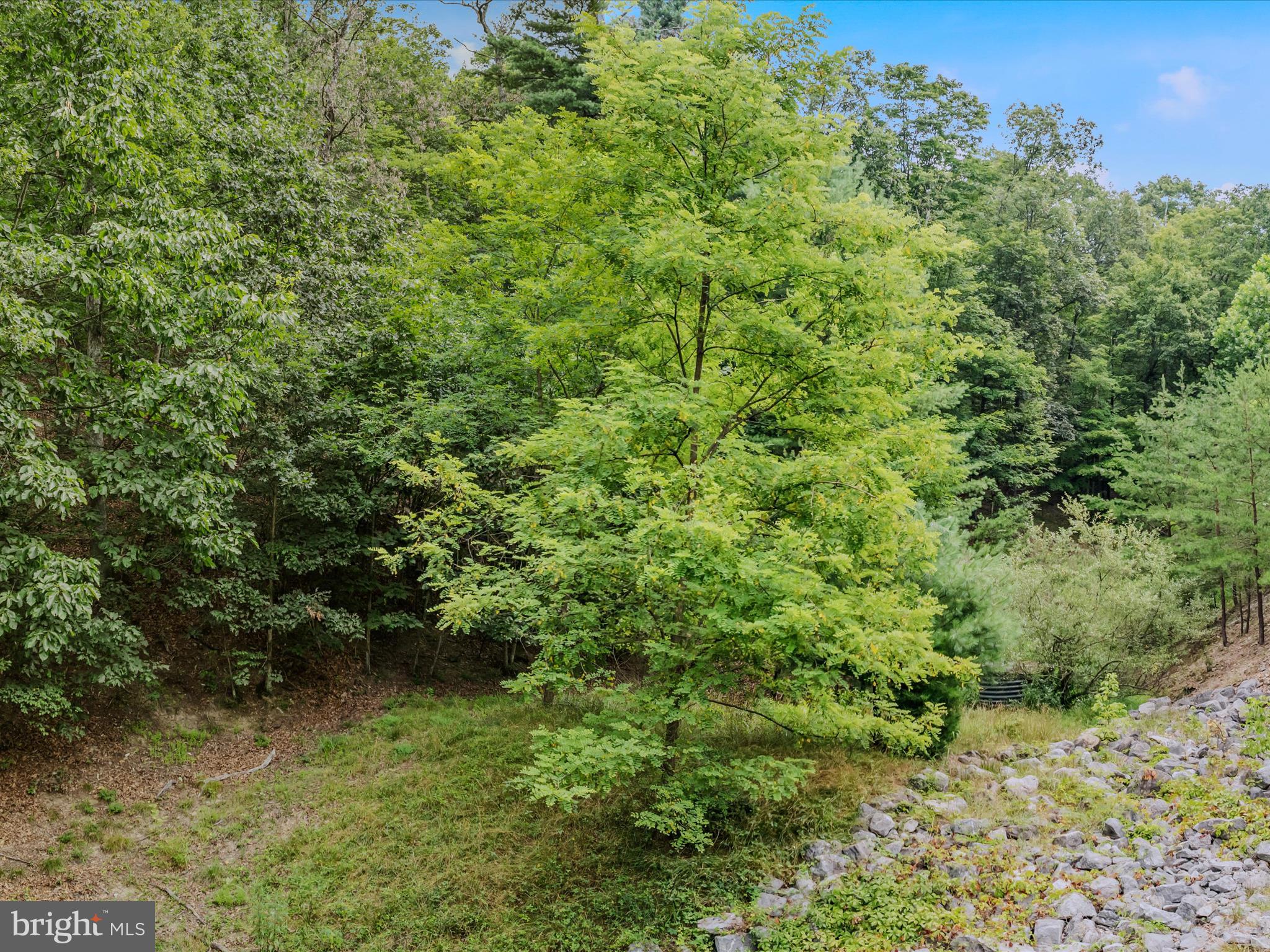 FAIRVIEW OAKS - Land