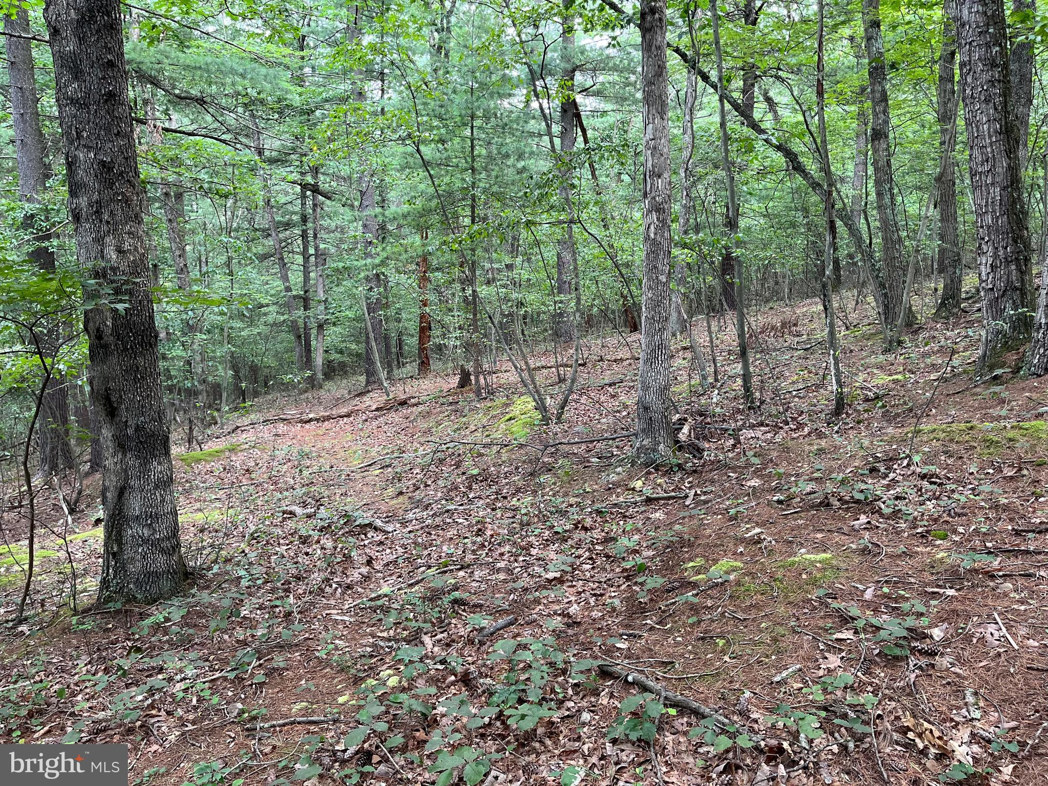 FAIRVIEW OAKS - Land