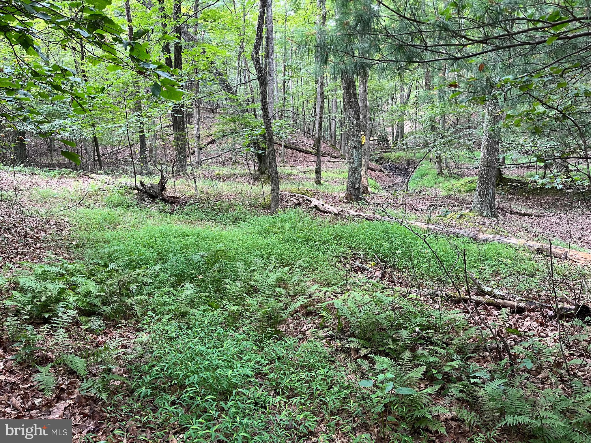 FAIRVIEW OAKS - Land