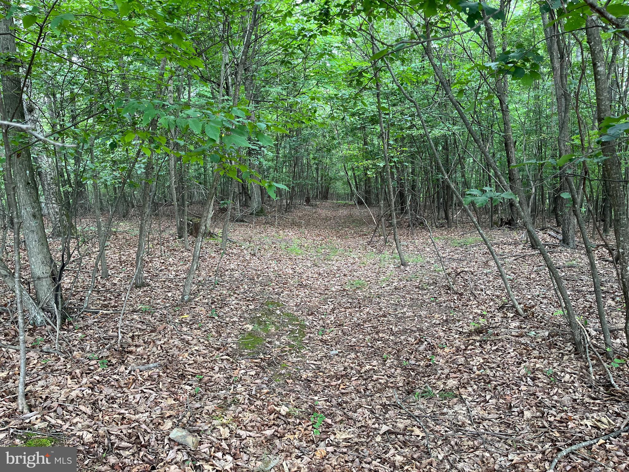 FAIRVIEW OAKS - Land