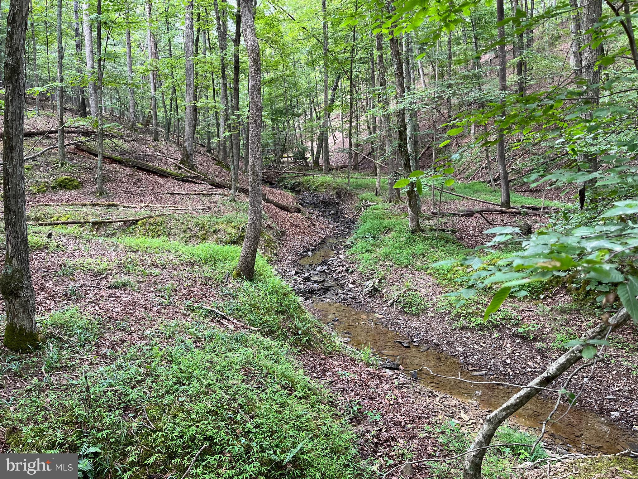 FAIRVIEW OAKS - Land