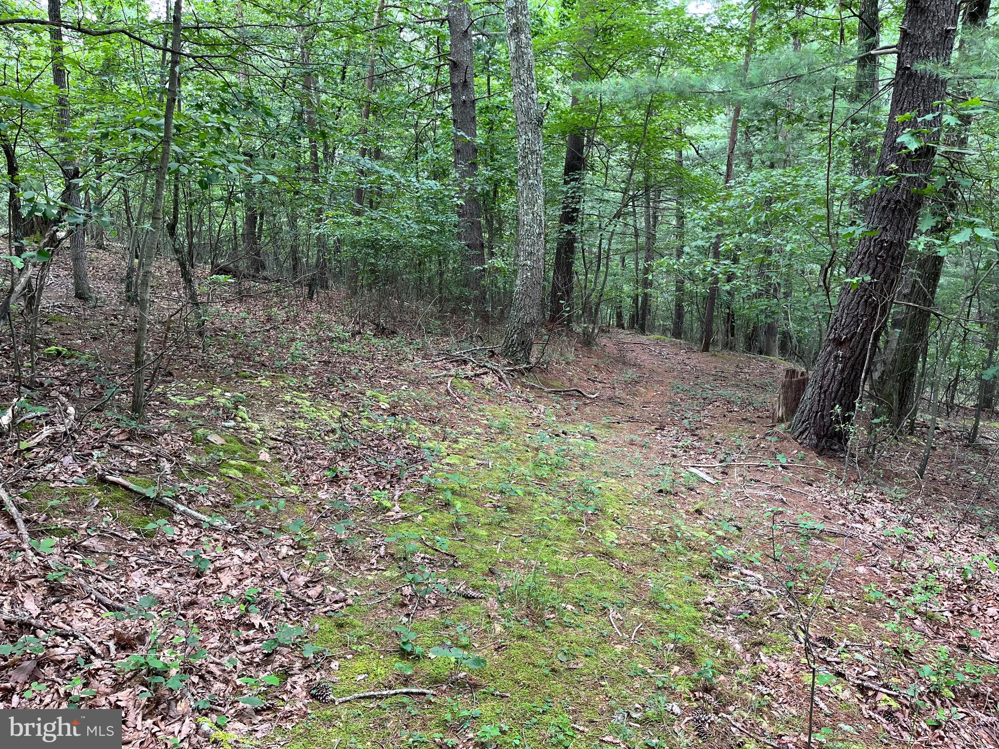 FAIRVIEW OAKS - Land