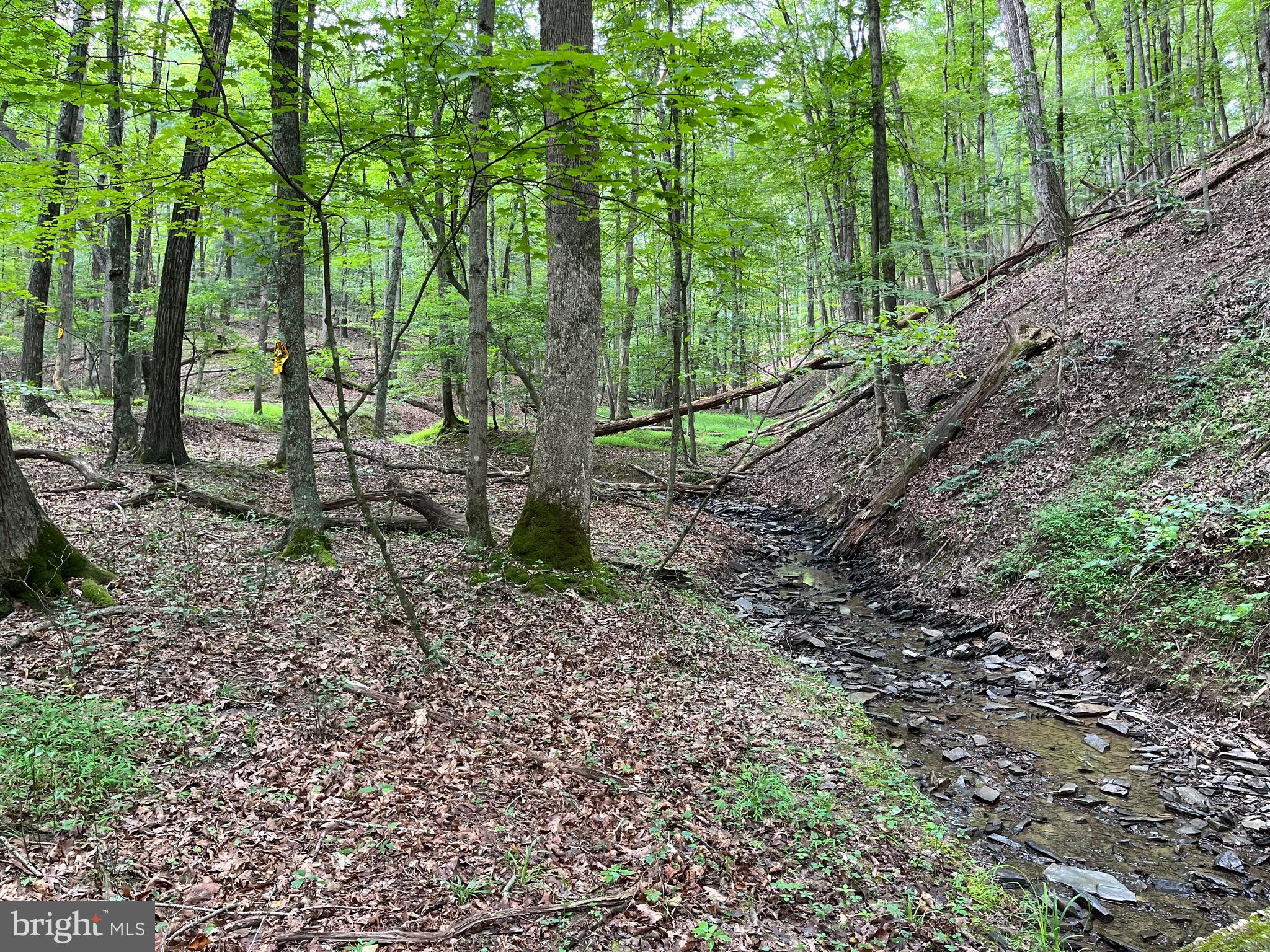 FAIRVIEW OAKS - Land