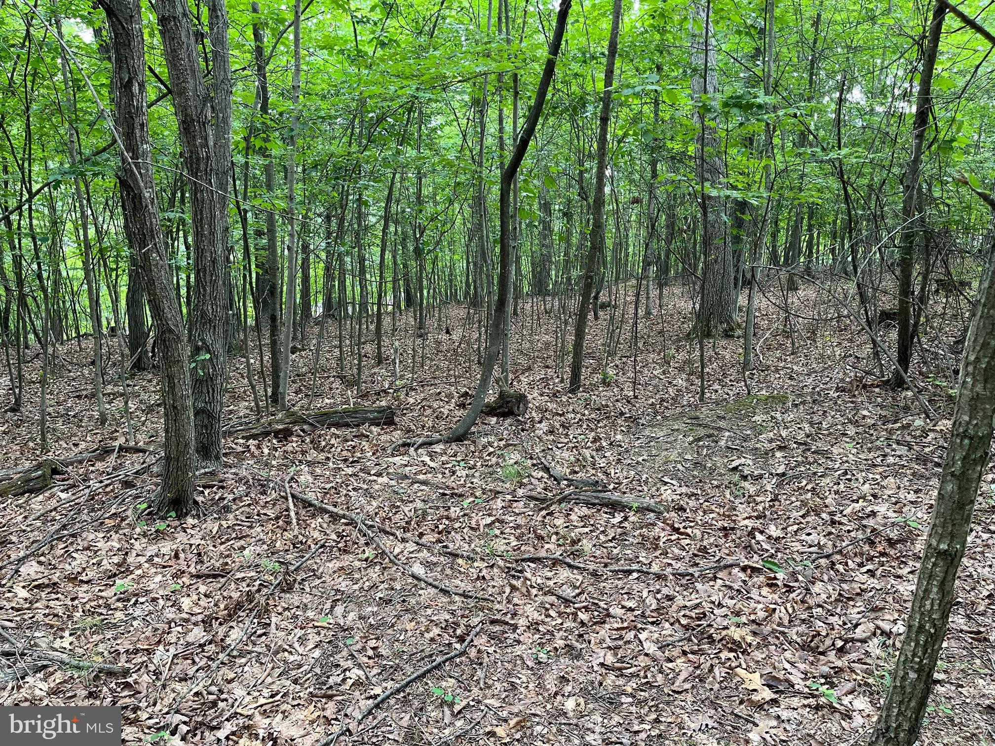 FAIRVIEW OAKS - Land