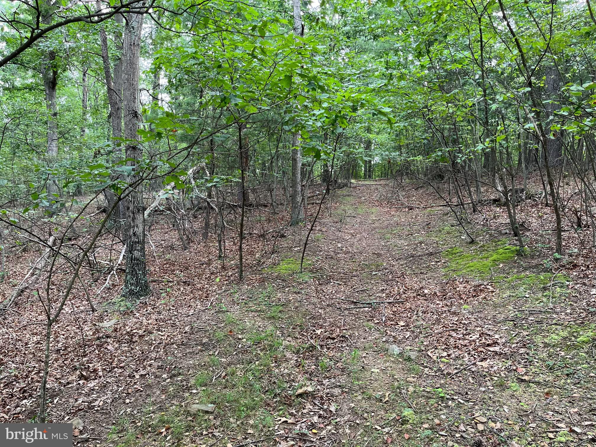 FAIRVIEW OAKS - Land