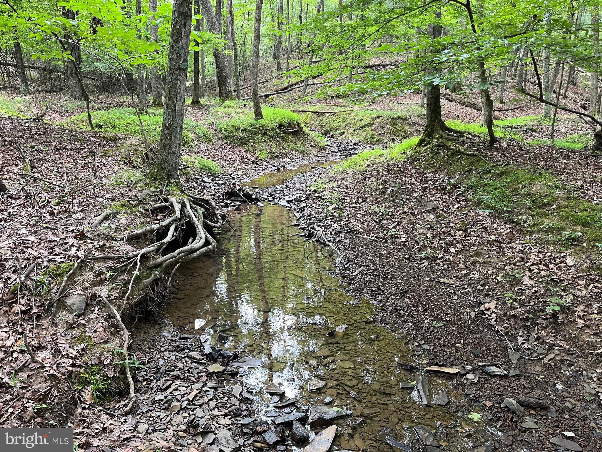 FAIRVIEW OAKS - Land