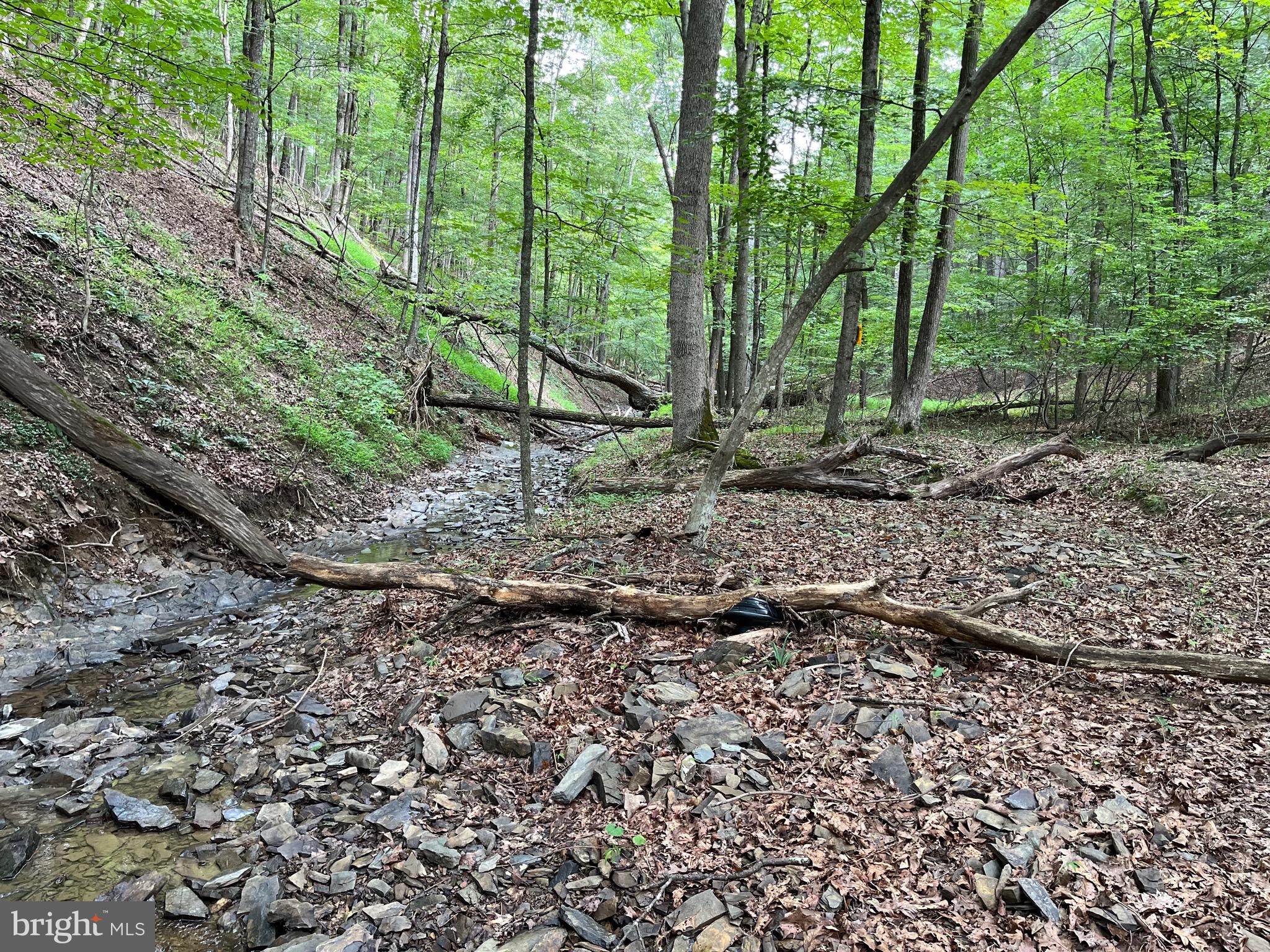 FAIRVIEW OAKS - Land