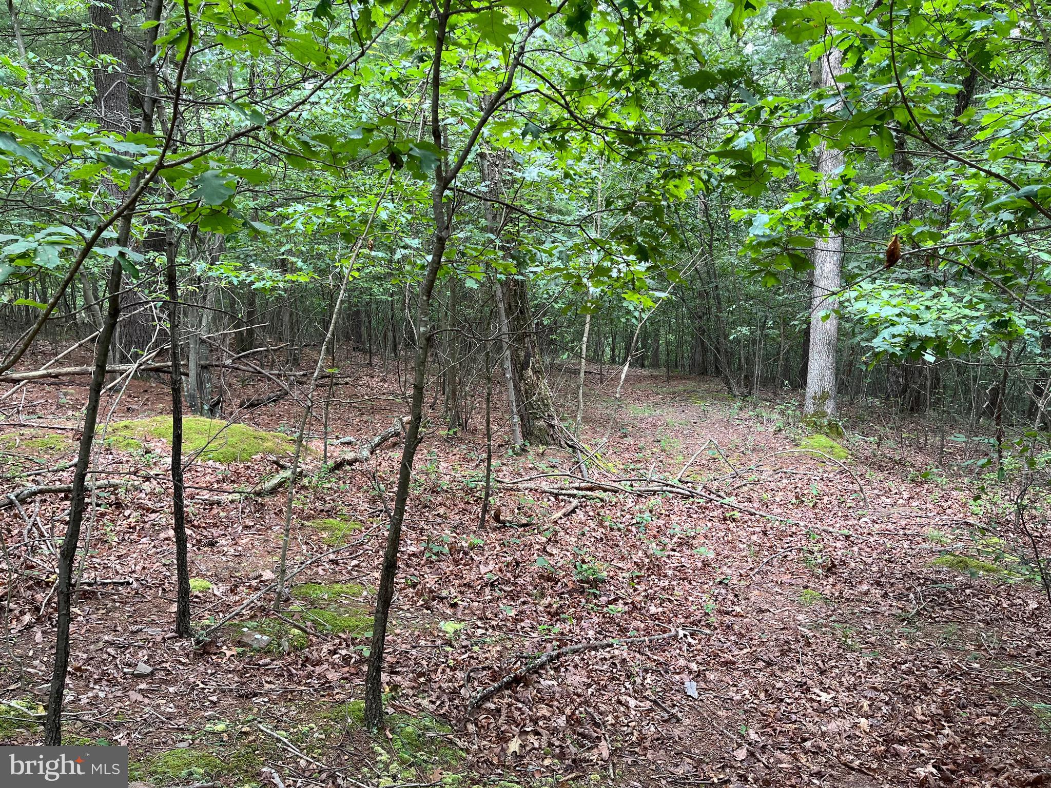 FAIRVIEW OAKS - Land