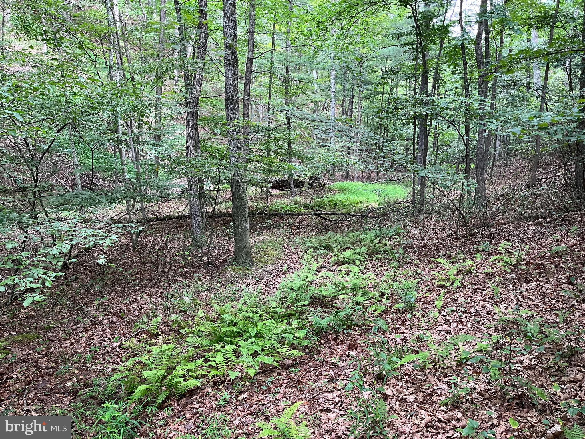 FAIRVIEW OAKS - Land