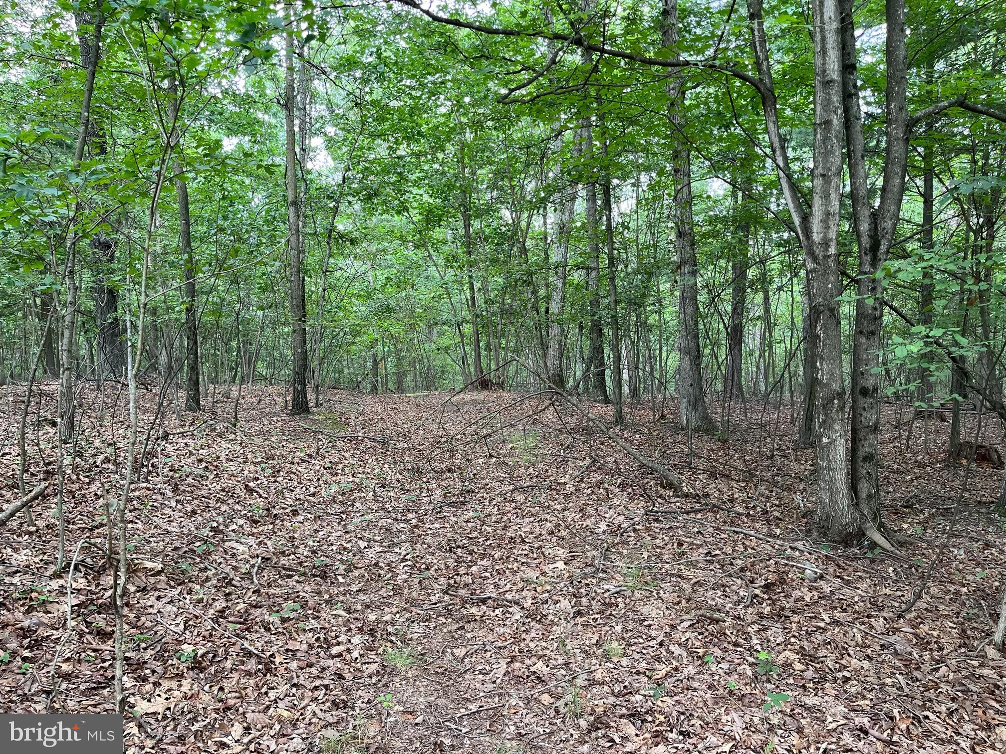 FAIRVIEW OAKS - Land