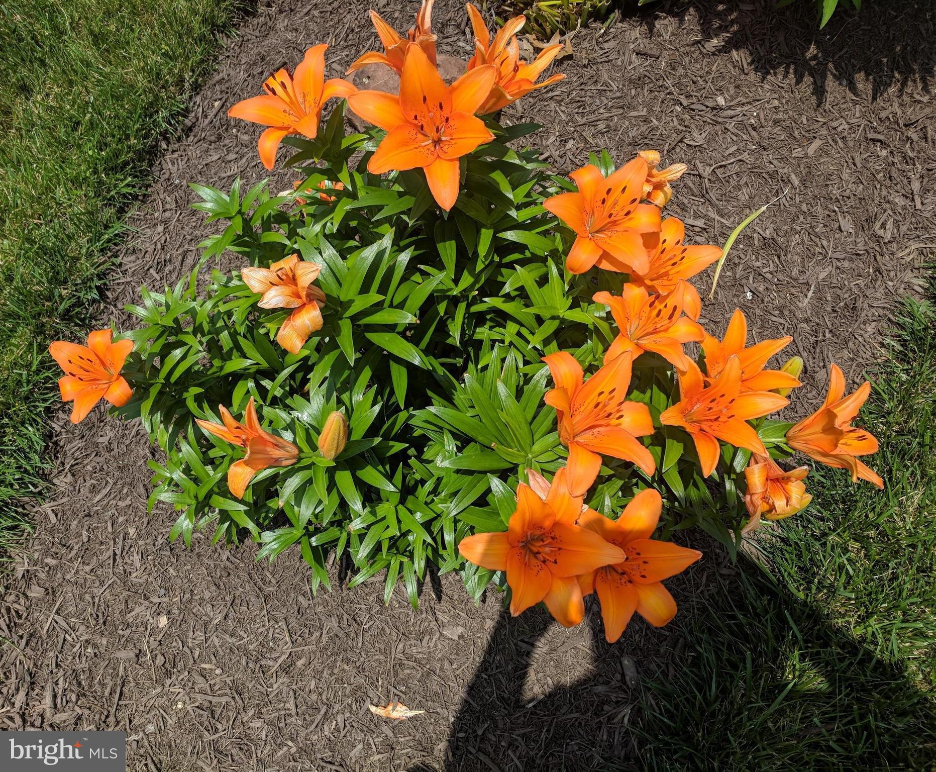 ASHBURN - Residential