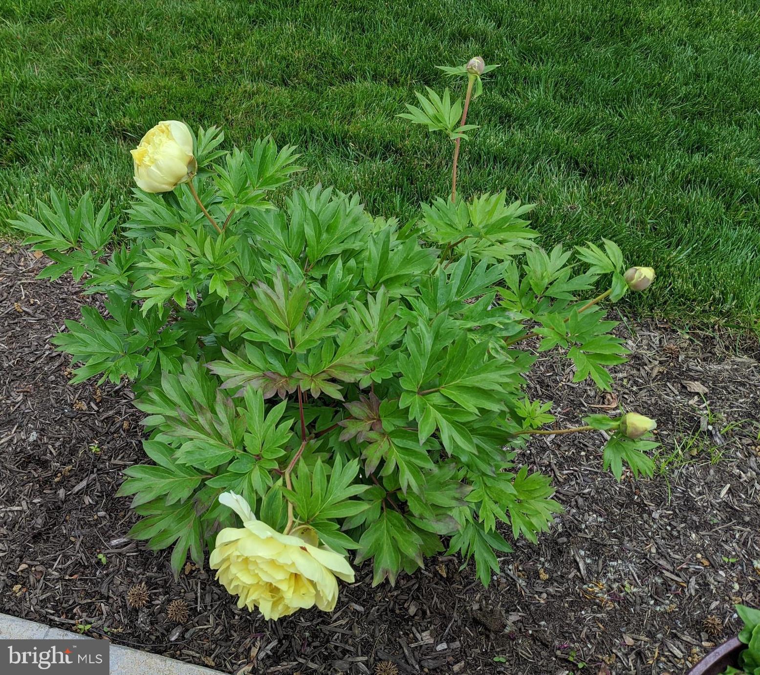 ASHBURN - Residential