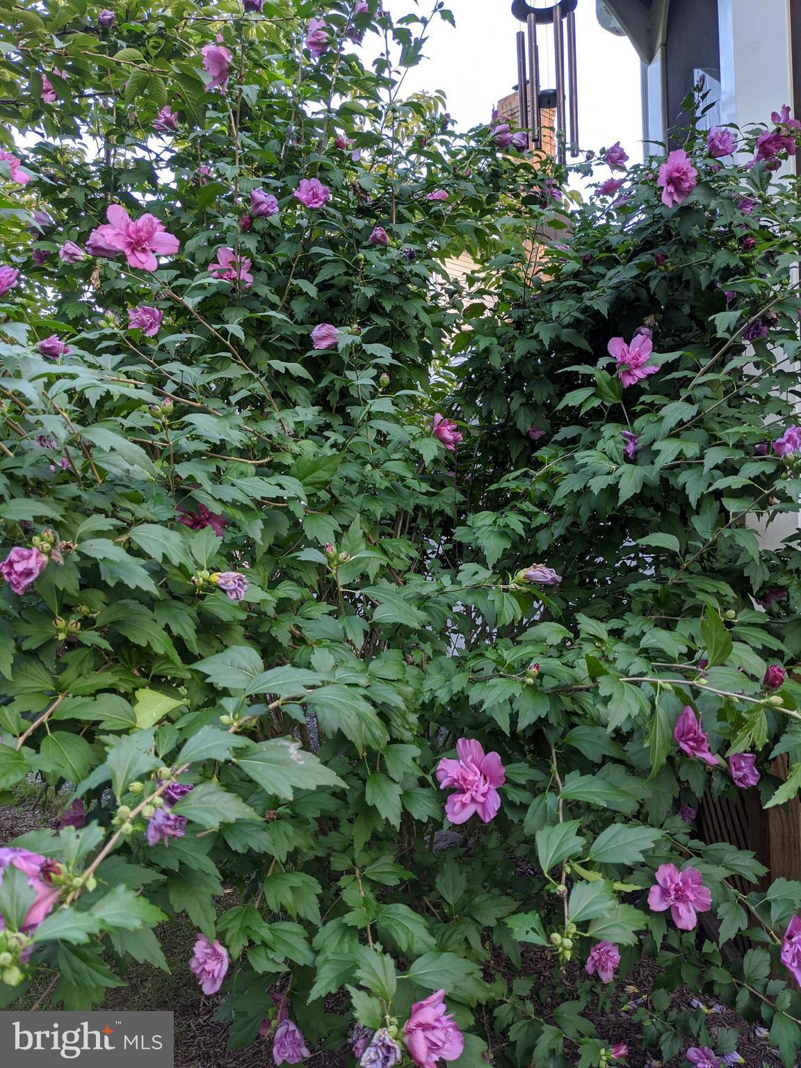 ASHBURN - Residential