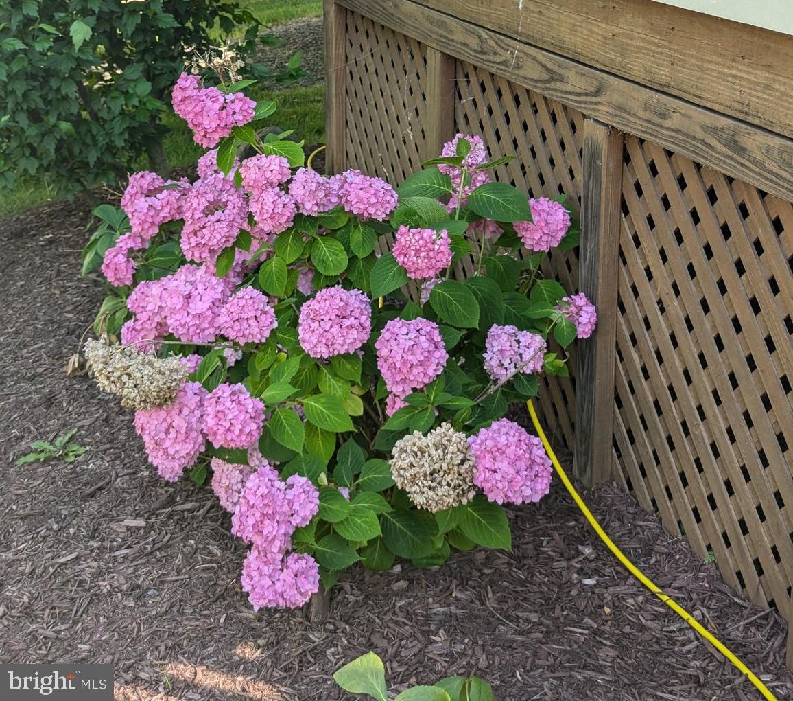 ASHBURN - Residential