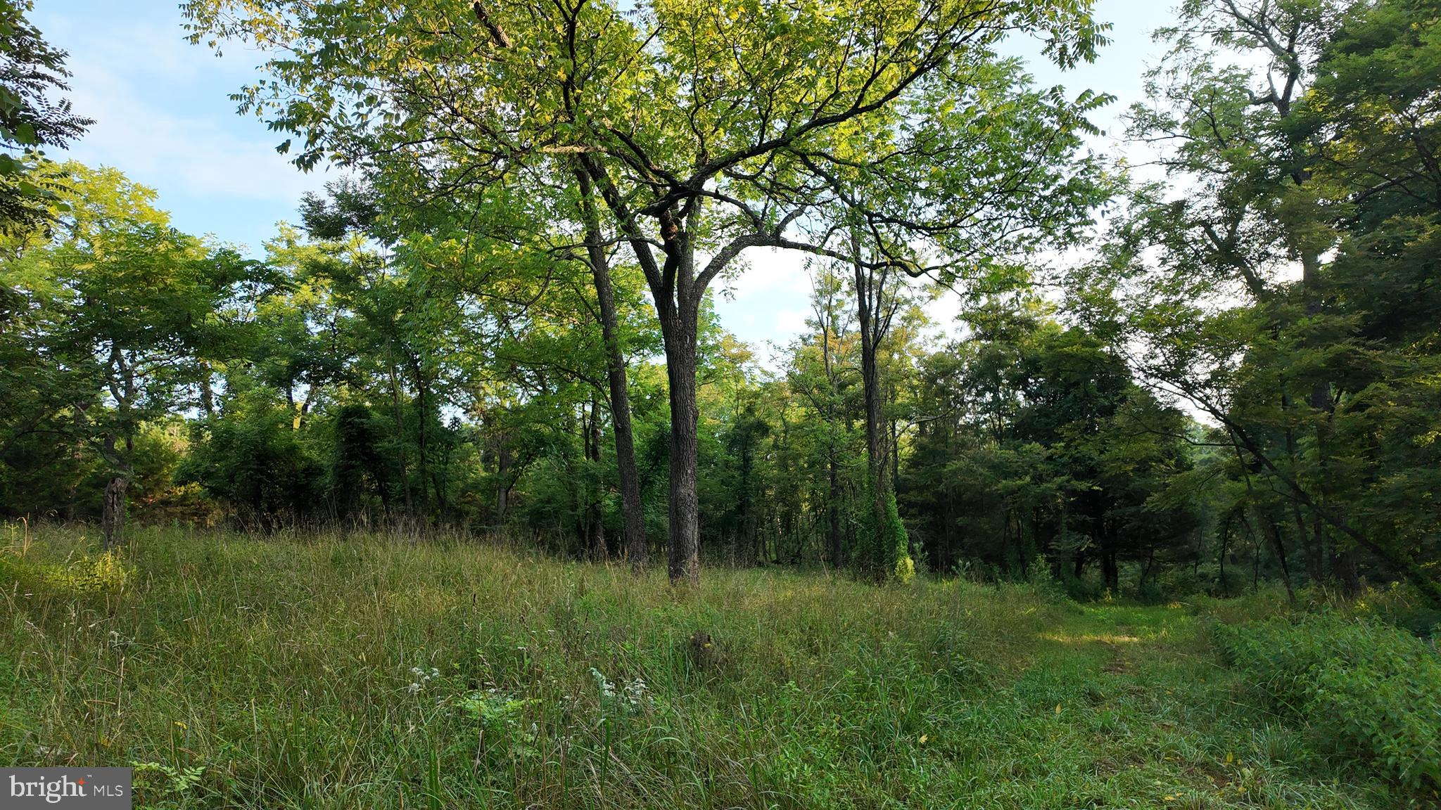 Lot 203 GRACES CABIN ROAD