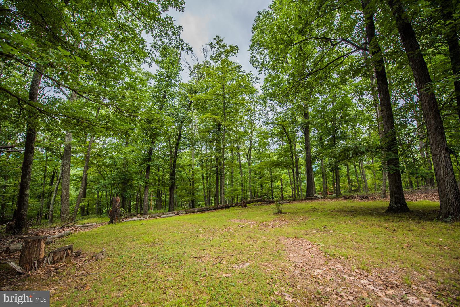 ROUSE MOUNTAIN - Residential