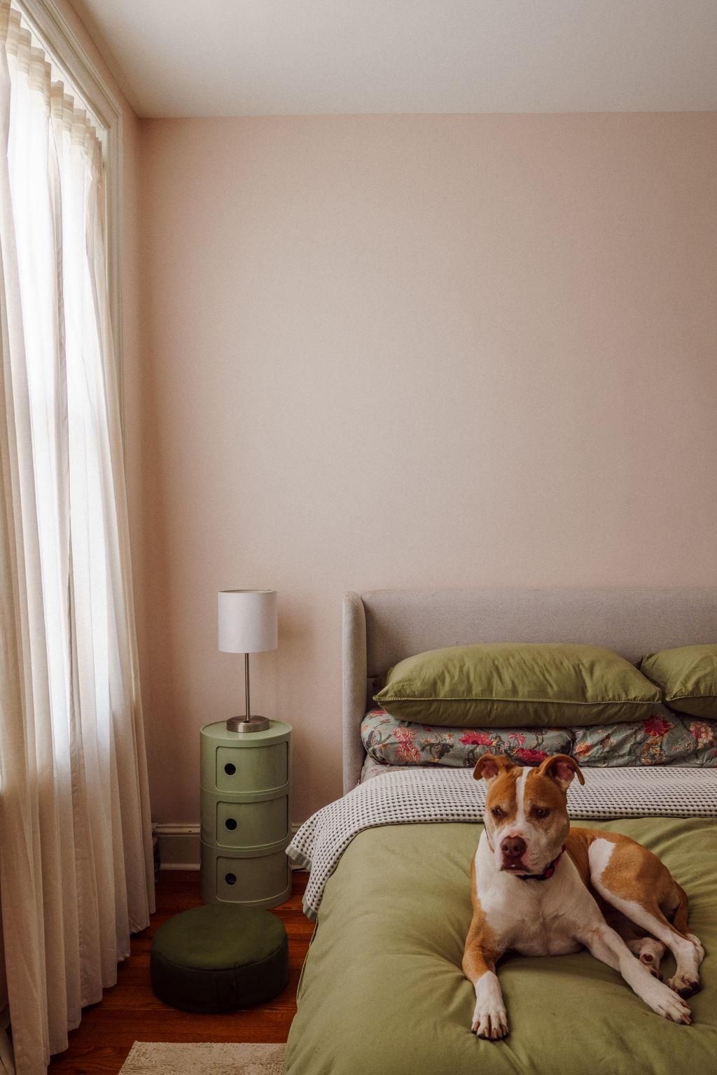 Photo of 1810 Morris Street, PHILADELPHIA, PA 19145 (MLS # PAPH2610502)