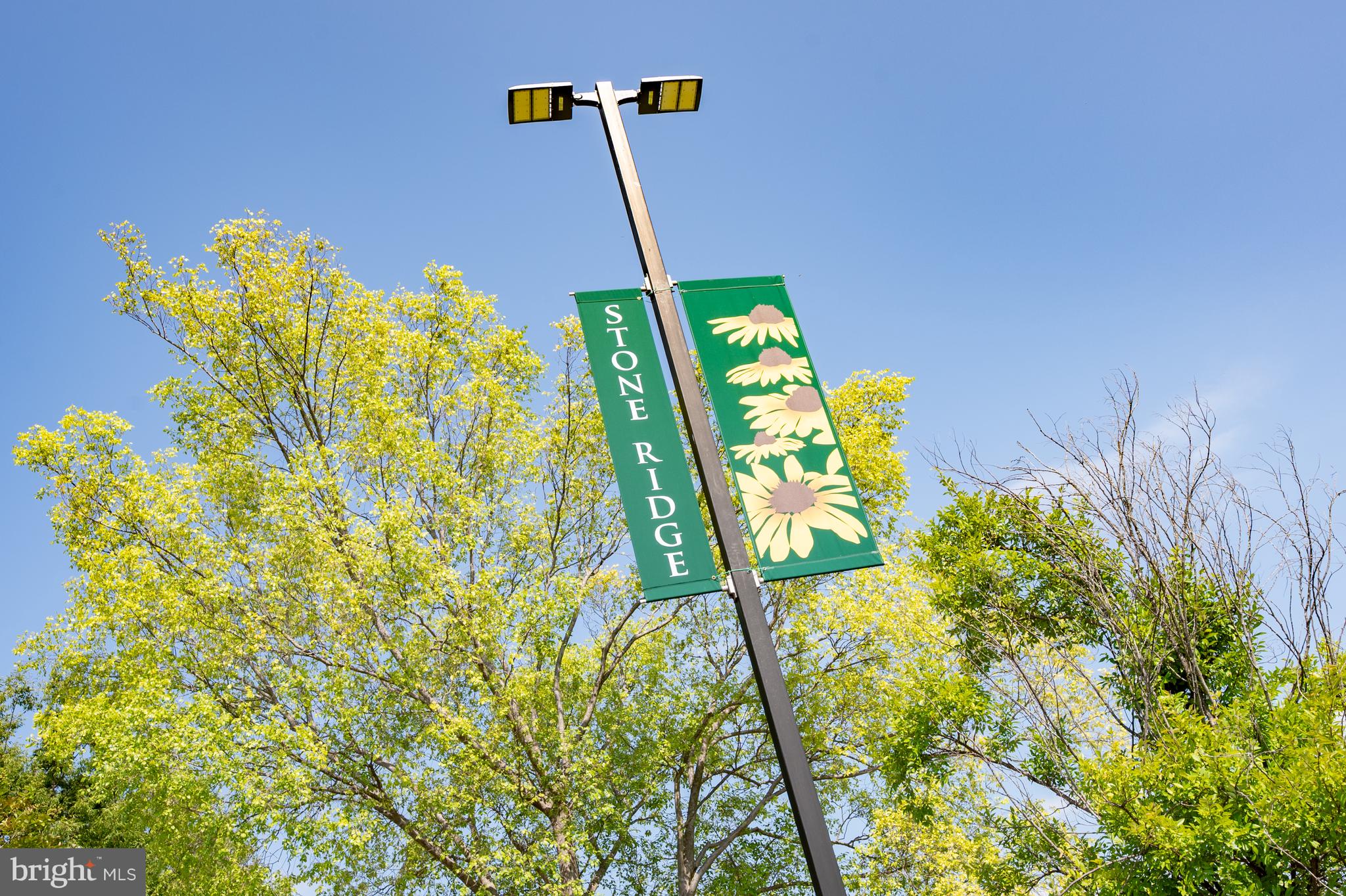 MERCER PARK - Residential