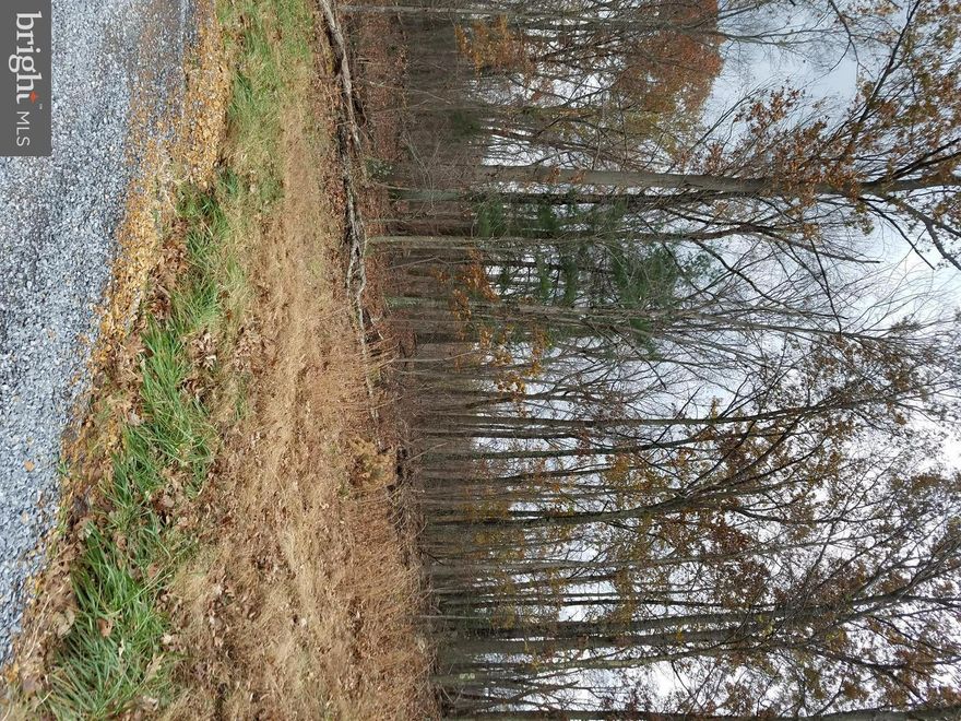 11+wooded acres with wildlife, can be used for hunting, residential, recreational.