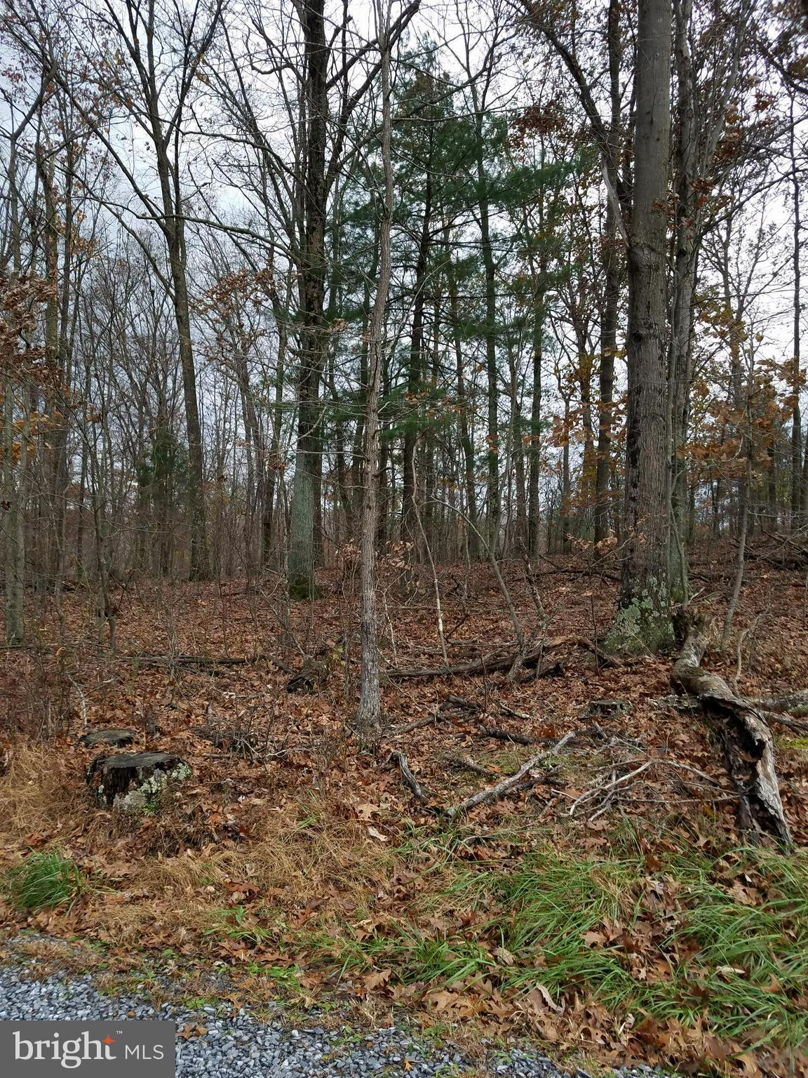 PENNY PINCH FARMS - Land