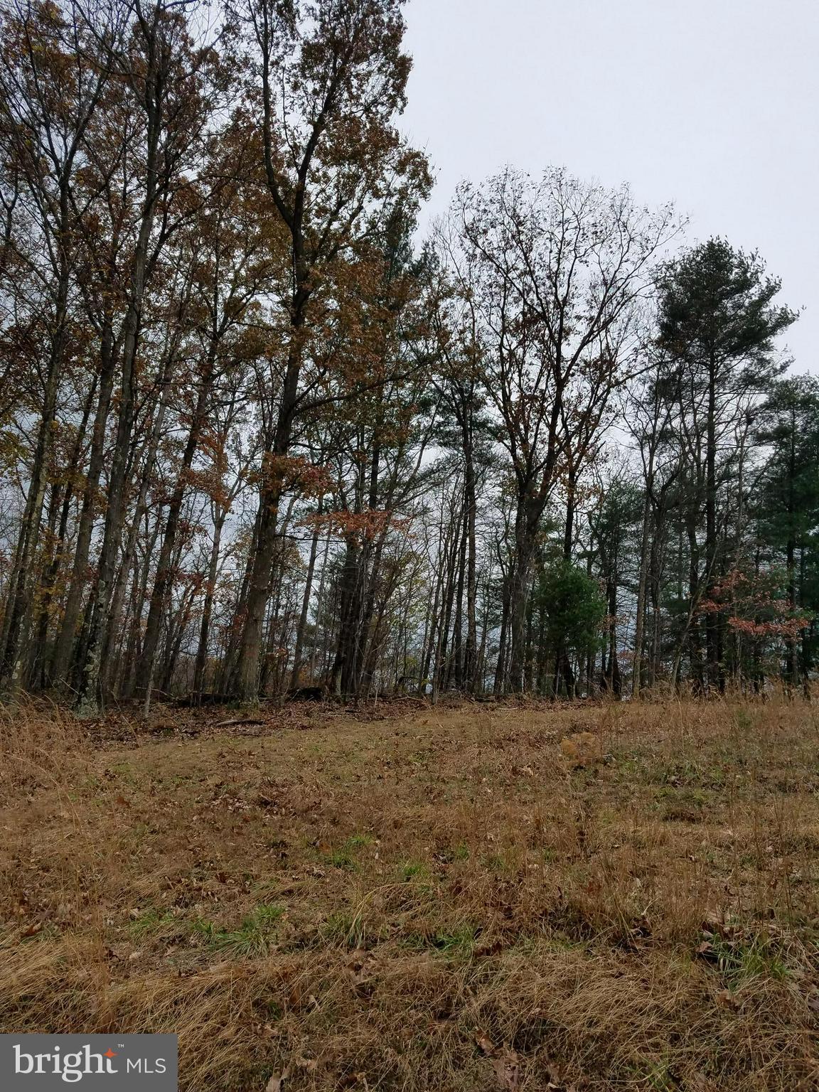 PENNY PINCH FARMS - Land