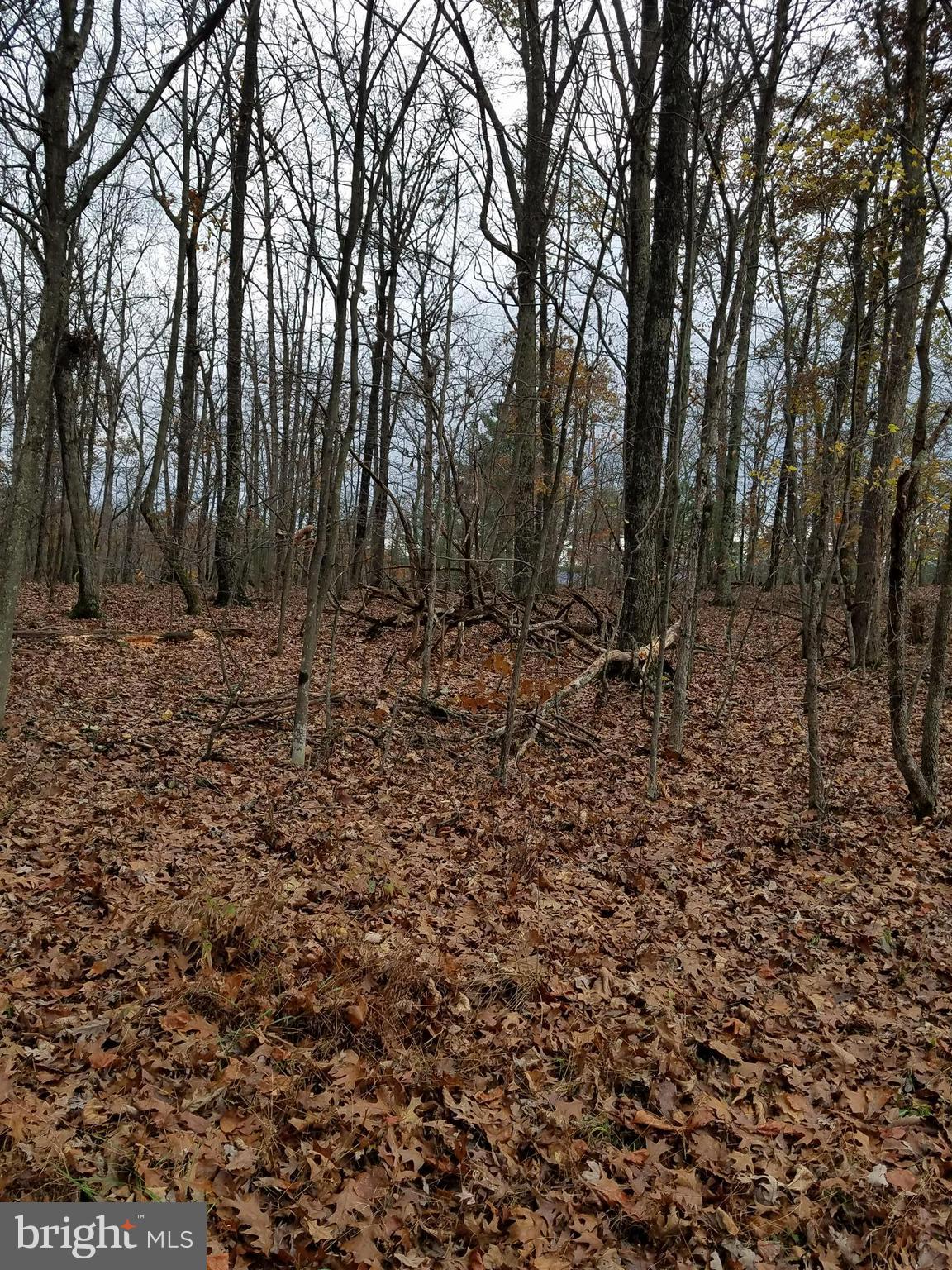 PENNY PINCH FARMS - Land