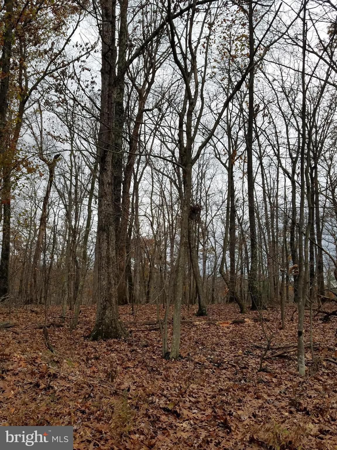 PENNY PINCH FARMS - Land