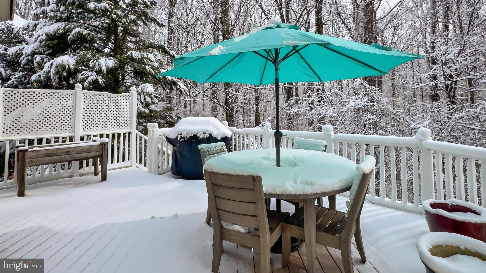 PICKETT'S RESERVE - Residential