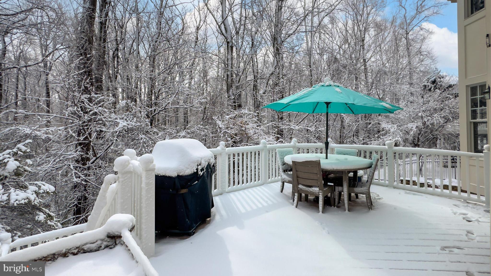 PICKETT'S RESERVE - Residential