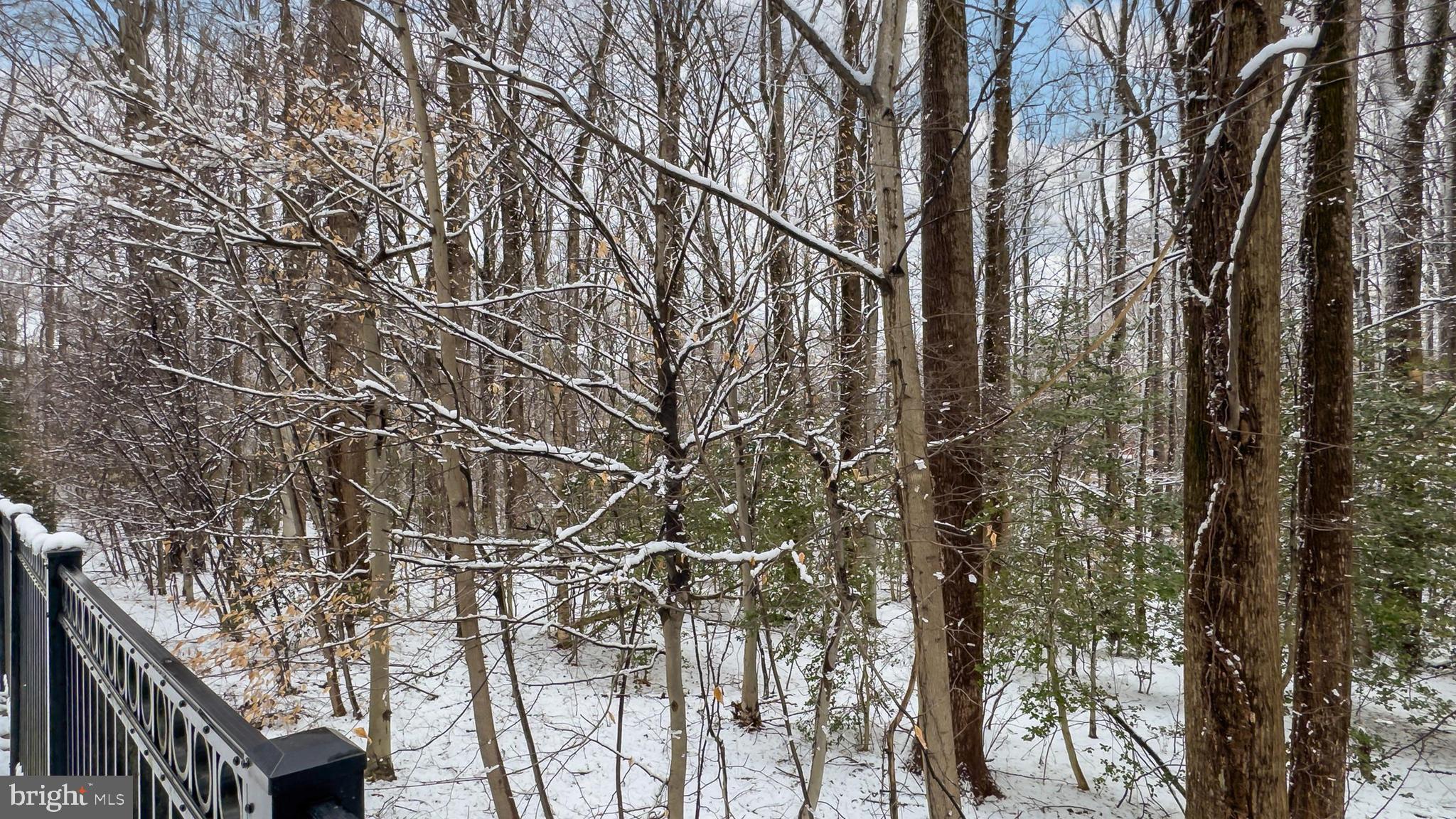 PICKETT'S RESERVE - Residential