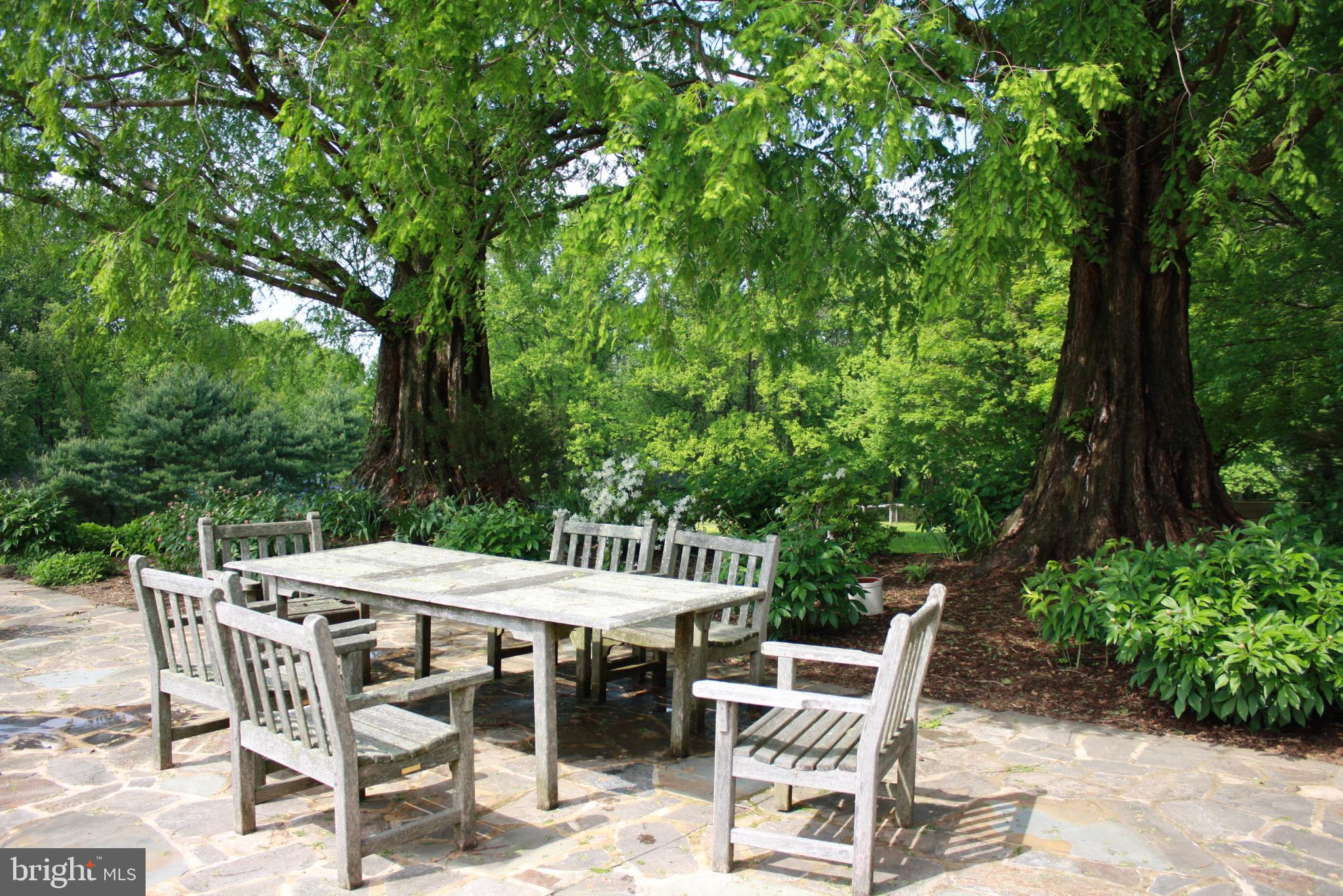 CHESHIRE HUNT - Residential