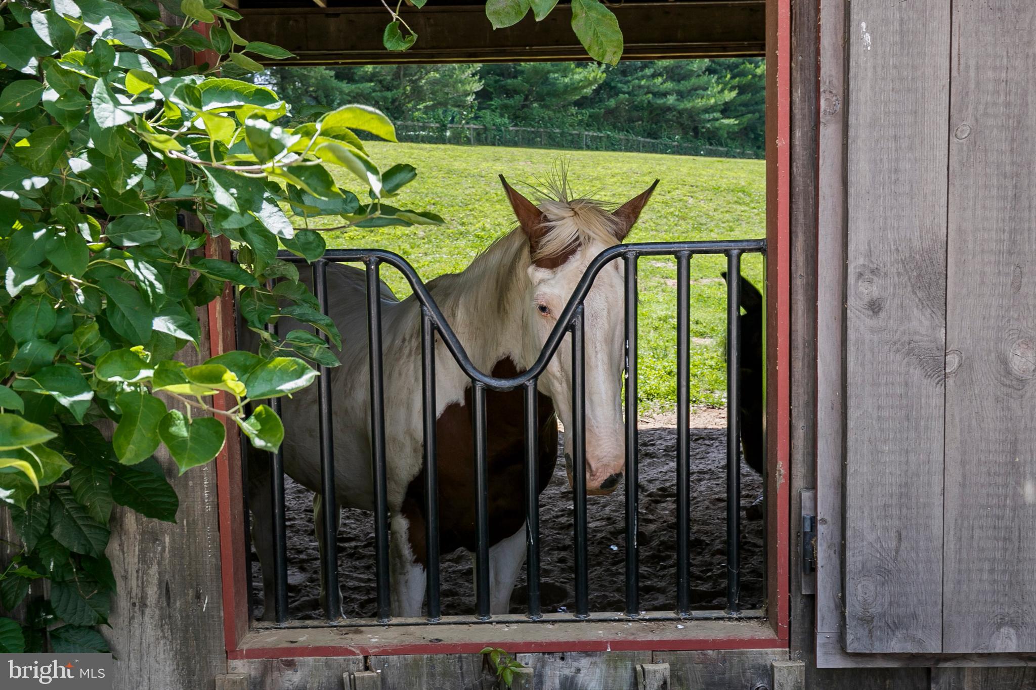 CHESHIRE HUNT - Residential