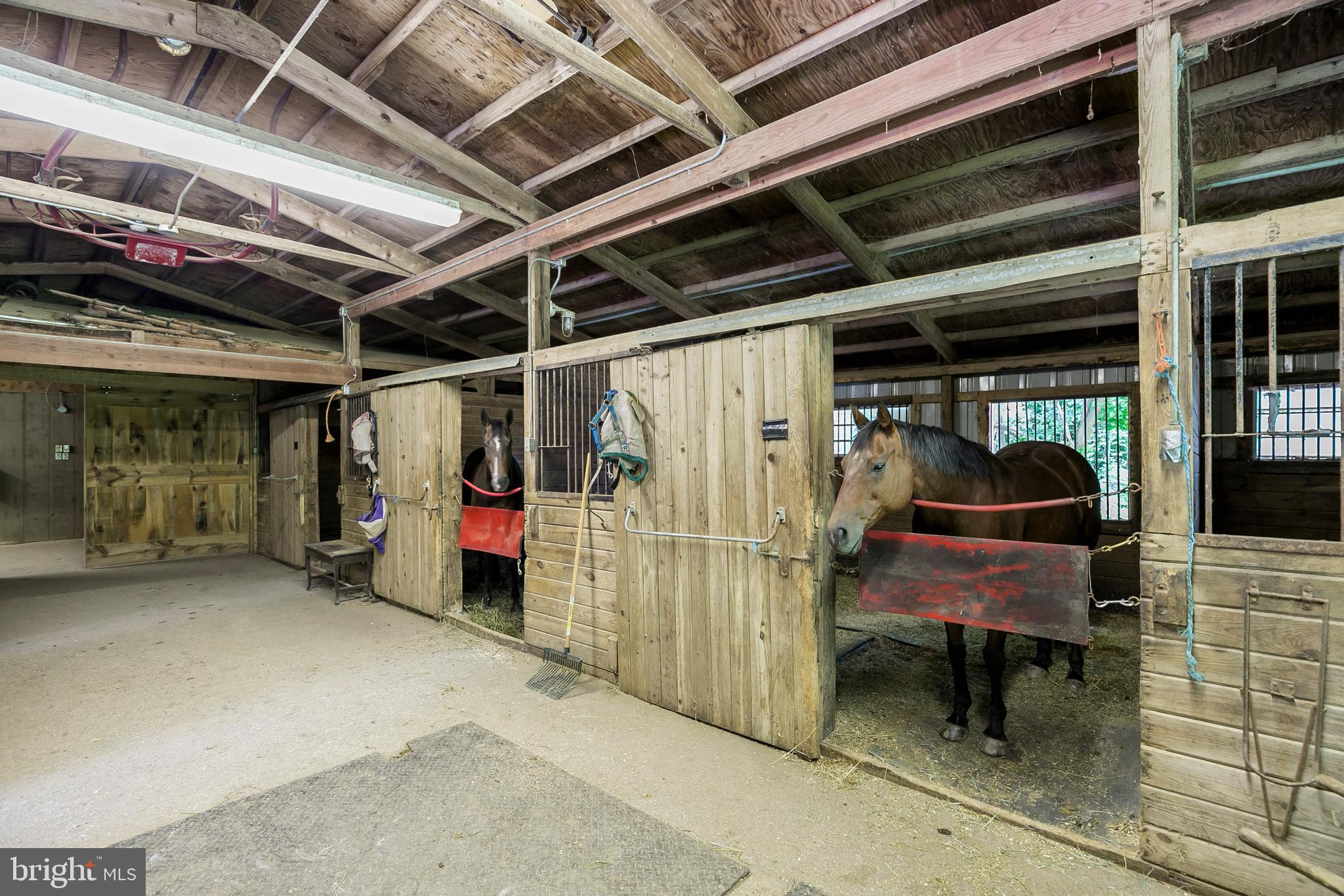 CHESHIRE HUNT - Residential