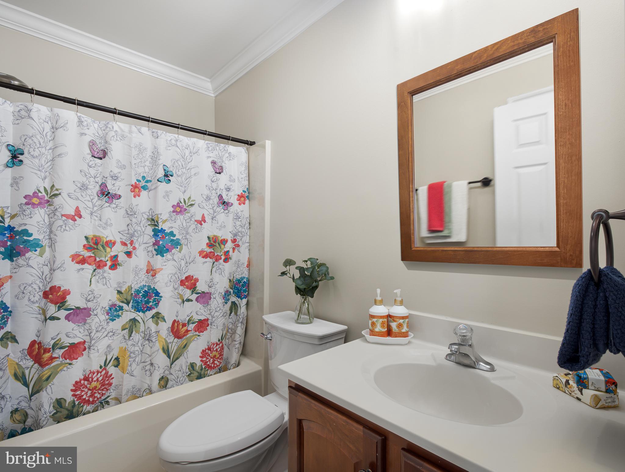 SKYLINE ORCHARDS - Residential