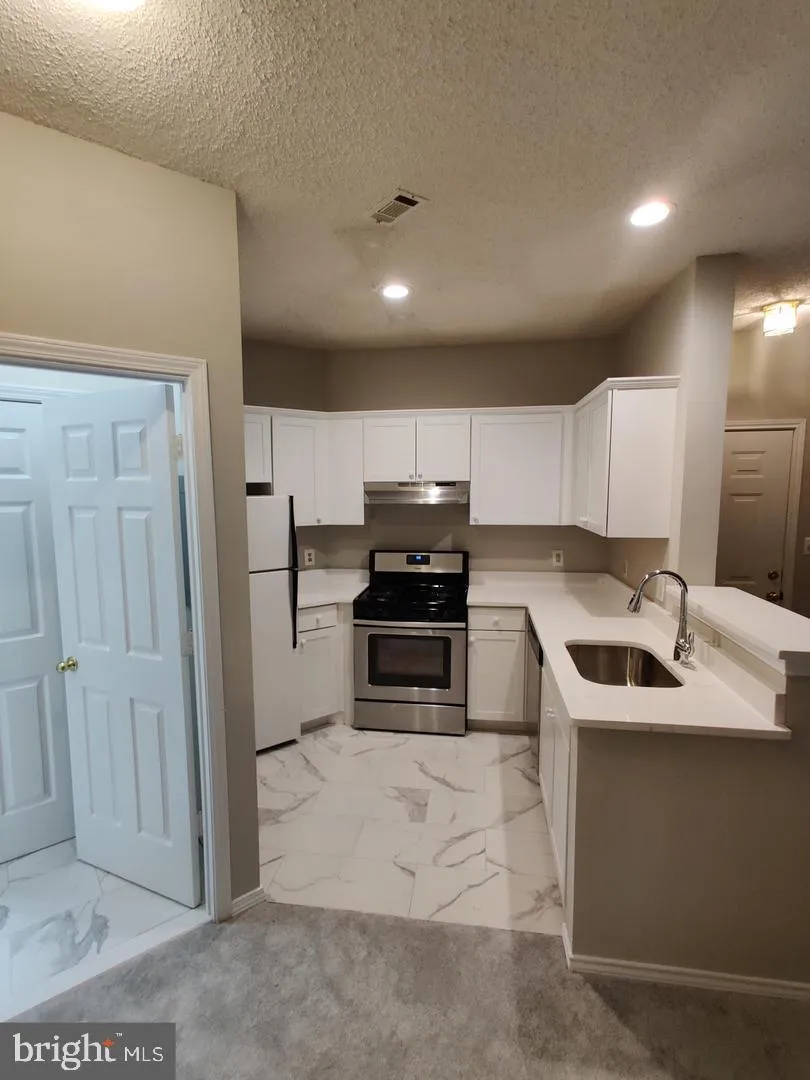 Additional image 59 of 13058 Autumn Woods Way Unit 203, Fairfax, VA 22033