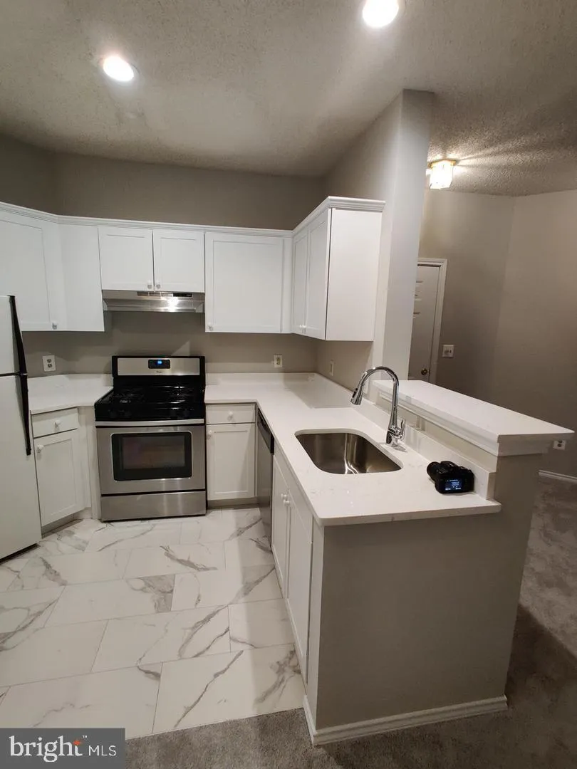 Additional image 53 of 13058 Autumn Woods Way Unit 203, Fairfax, VA 22033