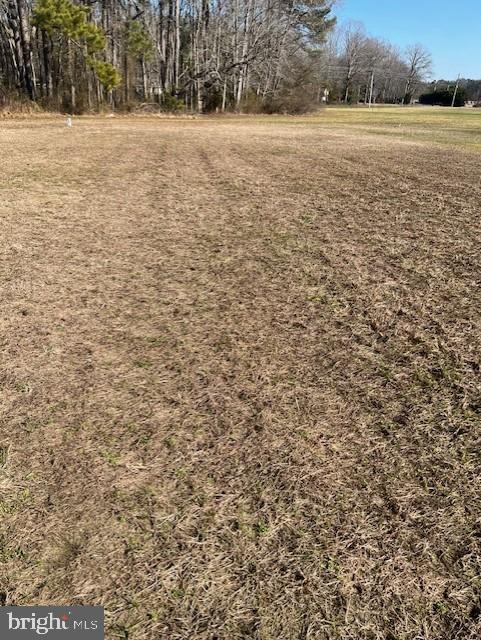 17725 BRIDLEWOOD ROAD