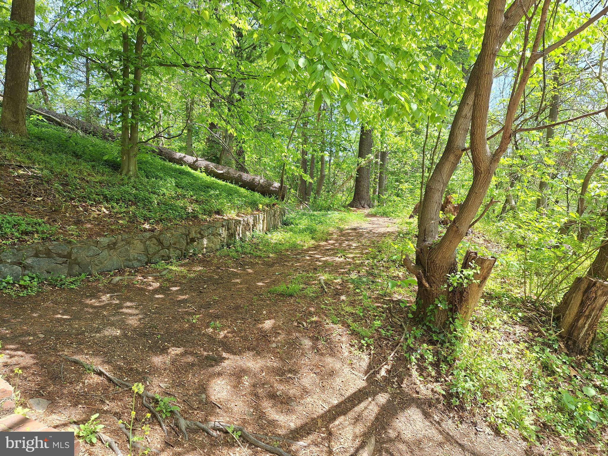 WOODMOOR - Residential