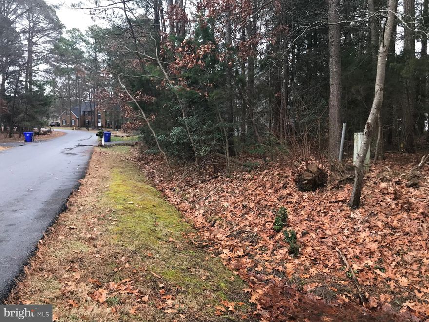 Beautiful corner lot in the Swan Point Yacht & Country Club community. Public Water and Sewer lines are located at the property and completely eliminate the need to install a costly private well and septic instantly reducing the cost to build by nearly $50,000!  Community amenities include an 18-hole golf course, driving range, pro-shop, clubhouse with restaurant, tennis & pickleball courts, marina, swimming pool, kids playground, walking/nature trails, and picnic areas.  Come build your dream home!