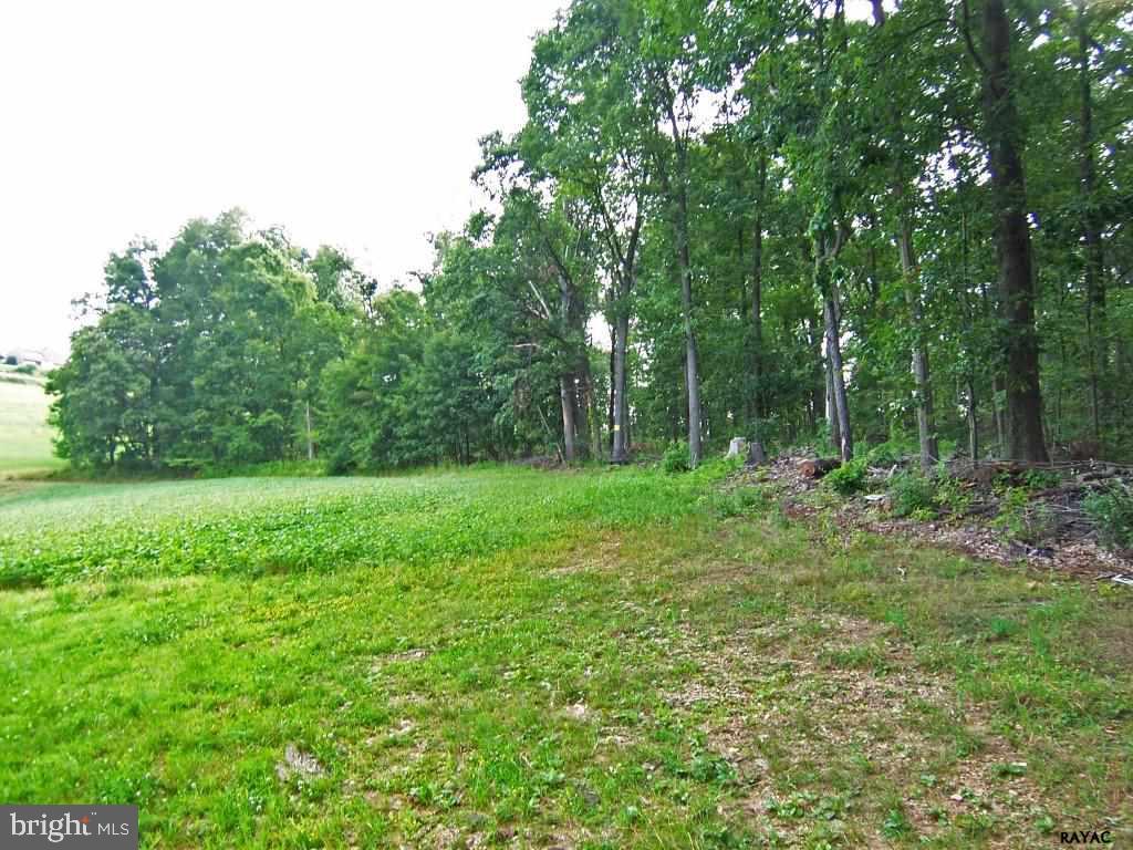 NONE AVAILABLE - Land