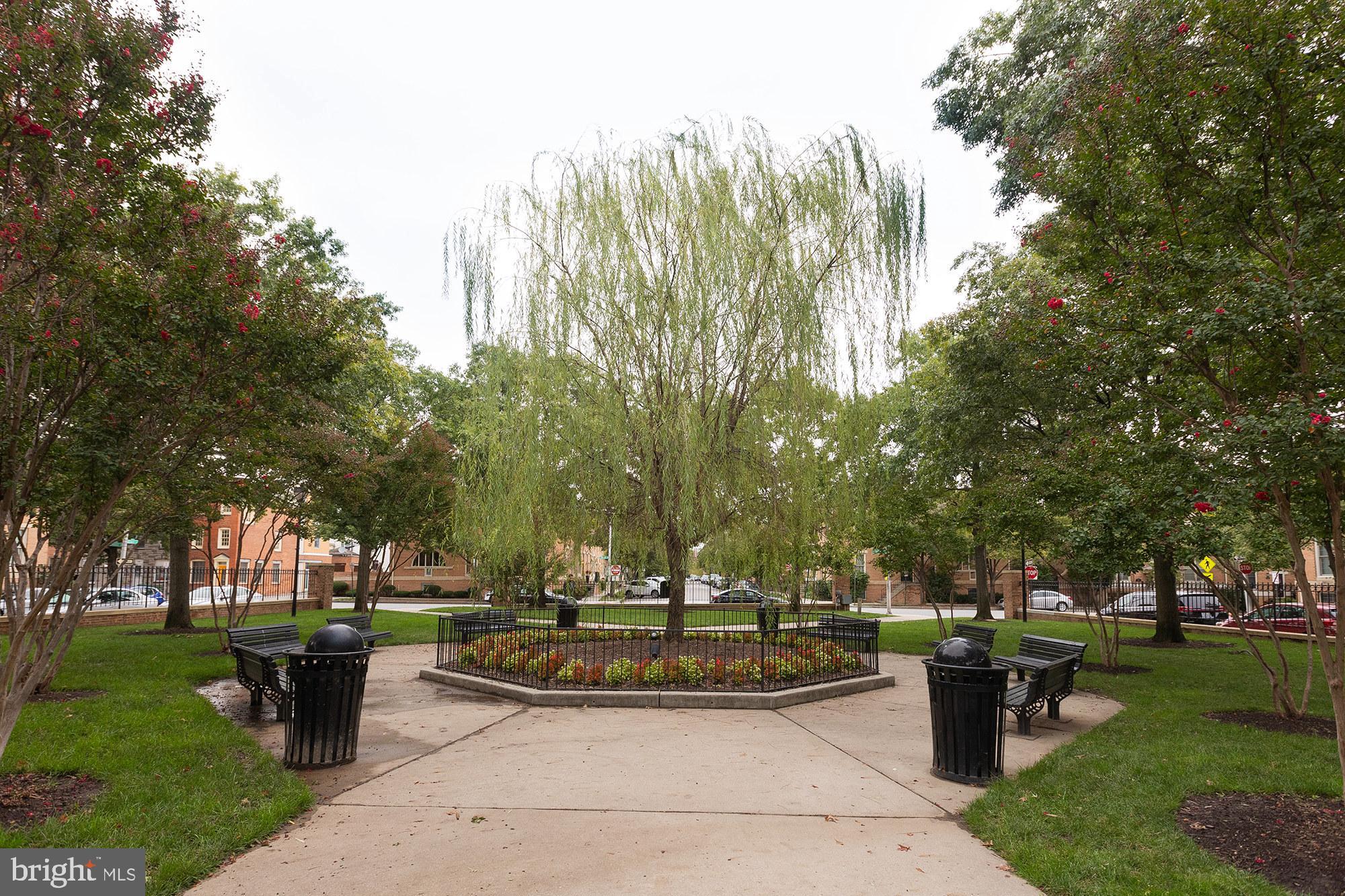 CANTON SQUARE - Residential