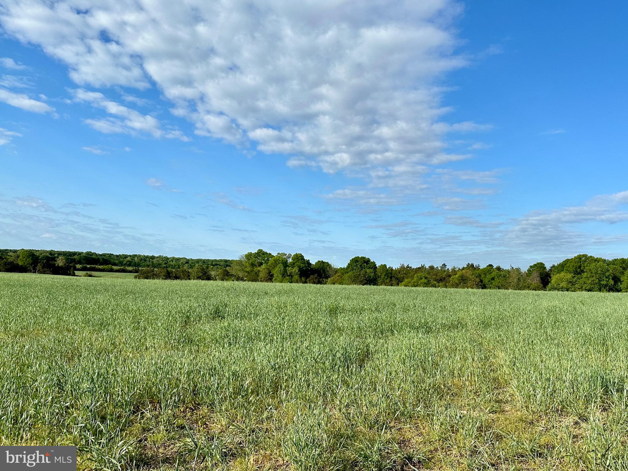 This beautiful property offers a peaceful, rural setting with scenic views of neighboring farmland, is ideally located just minutes from Lake Anna and an Incredible opportunity for builders or investors—12 individual building lots, just under 25 acres - each approximately 2 acres in size, with separate tax IDs already in place. Soil work and site plans have been completed and are available for all lots. Decel lanes are scheduled to be installed, and the property offers three separate entry points off Zachary Taylor Highway (Route 522), providing excellent access and development flexibility. This is a perfect setting for a small, thoughtfully planned residential community or for buyers seeking spacious homesites in a desirable and growing area. Multiple lots are available—don’t miss this rare opportunity to secure prime land in a high-demand location.