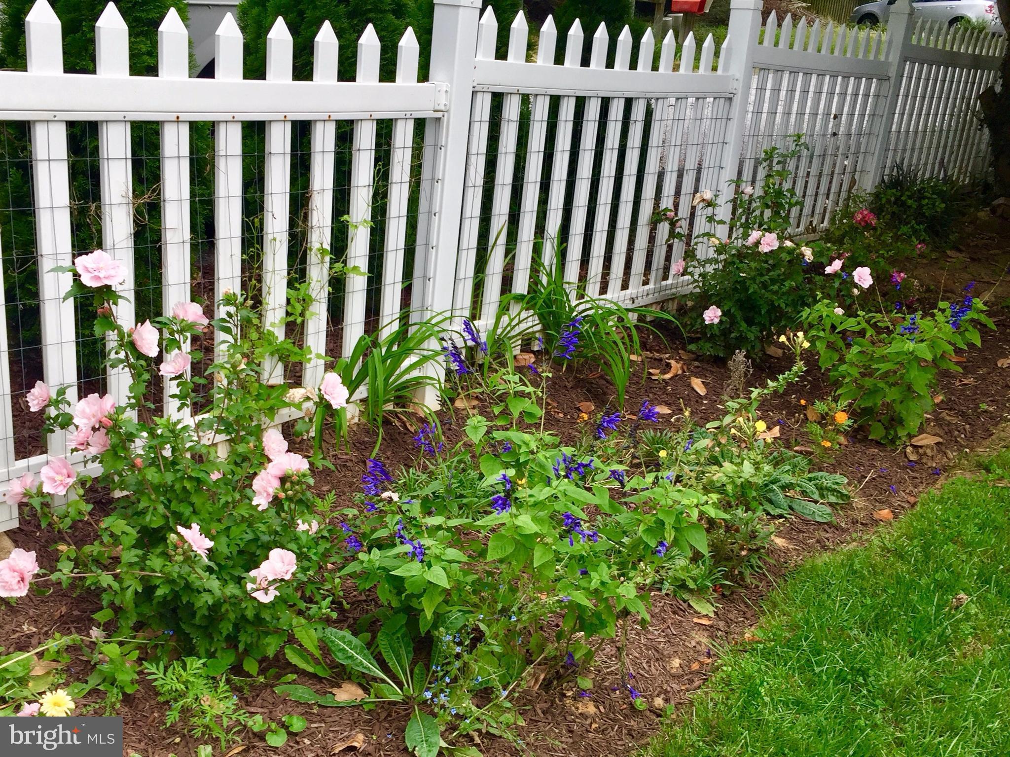 PINES ON THE SEVERN - Residential Lease